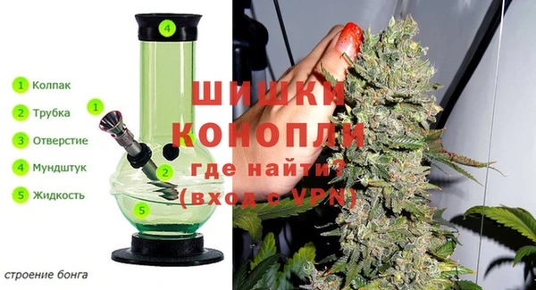 эйфоретик Няндома