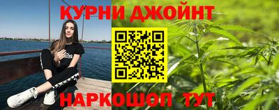 индика Ливны