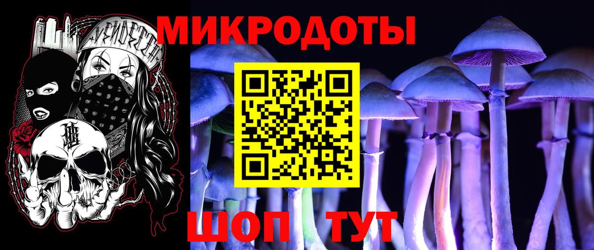 Псилоцибиновые грибы ЛСД Махачкала