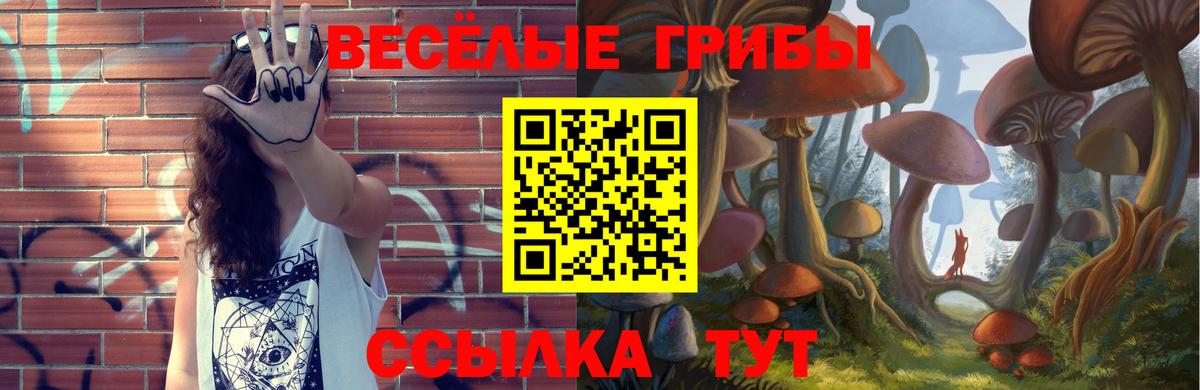 Псилоцибиновые грибы мицелий  Махачкала 